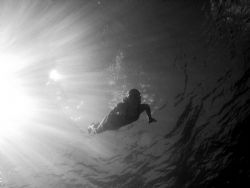 This photo was taken in Dominica of a 13 year Master Scub... by Tina Perkins 